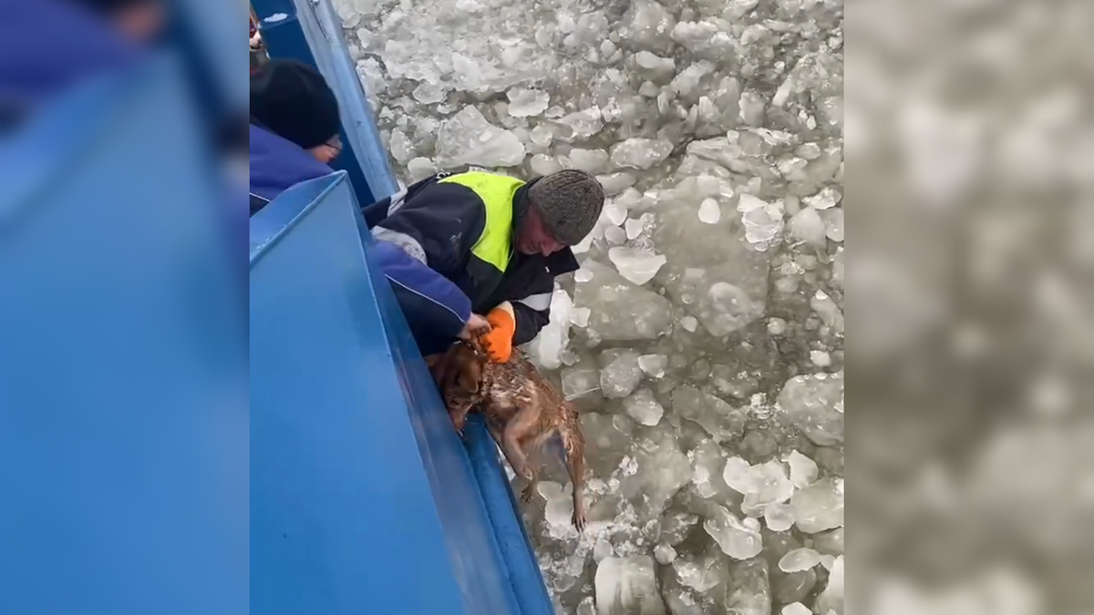 Автор: В. Панченко