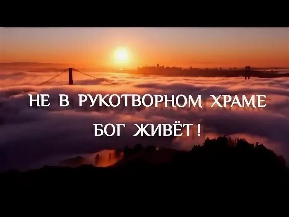 Из открытых источников Яндекса.