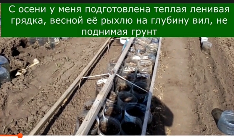 Каркас парника