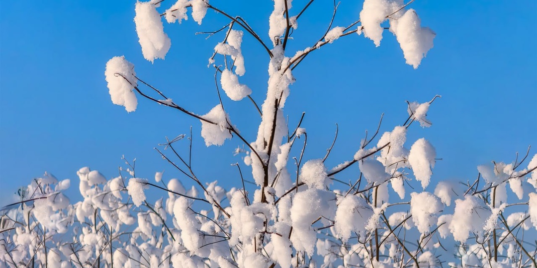 "О, зимний сказочный пейзаж