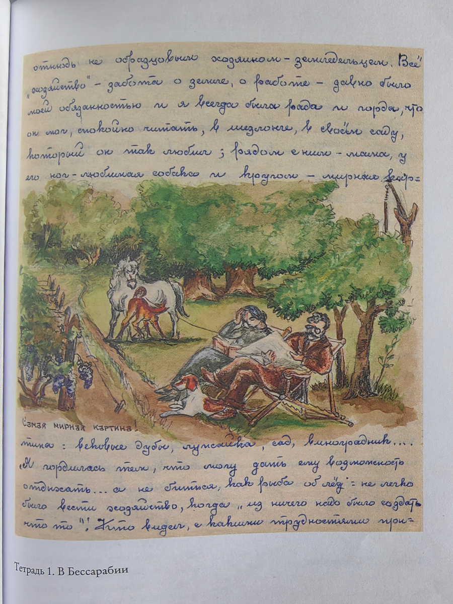 Вот так тихо-мирно жили