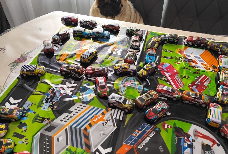 Дневник мопса: Оригинальный подарок друга