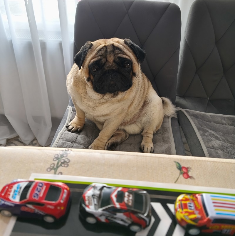 Ефим играет в машинки