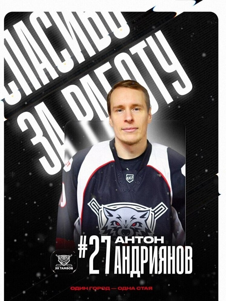     Источник: ХК "Тамбов"