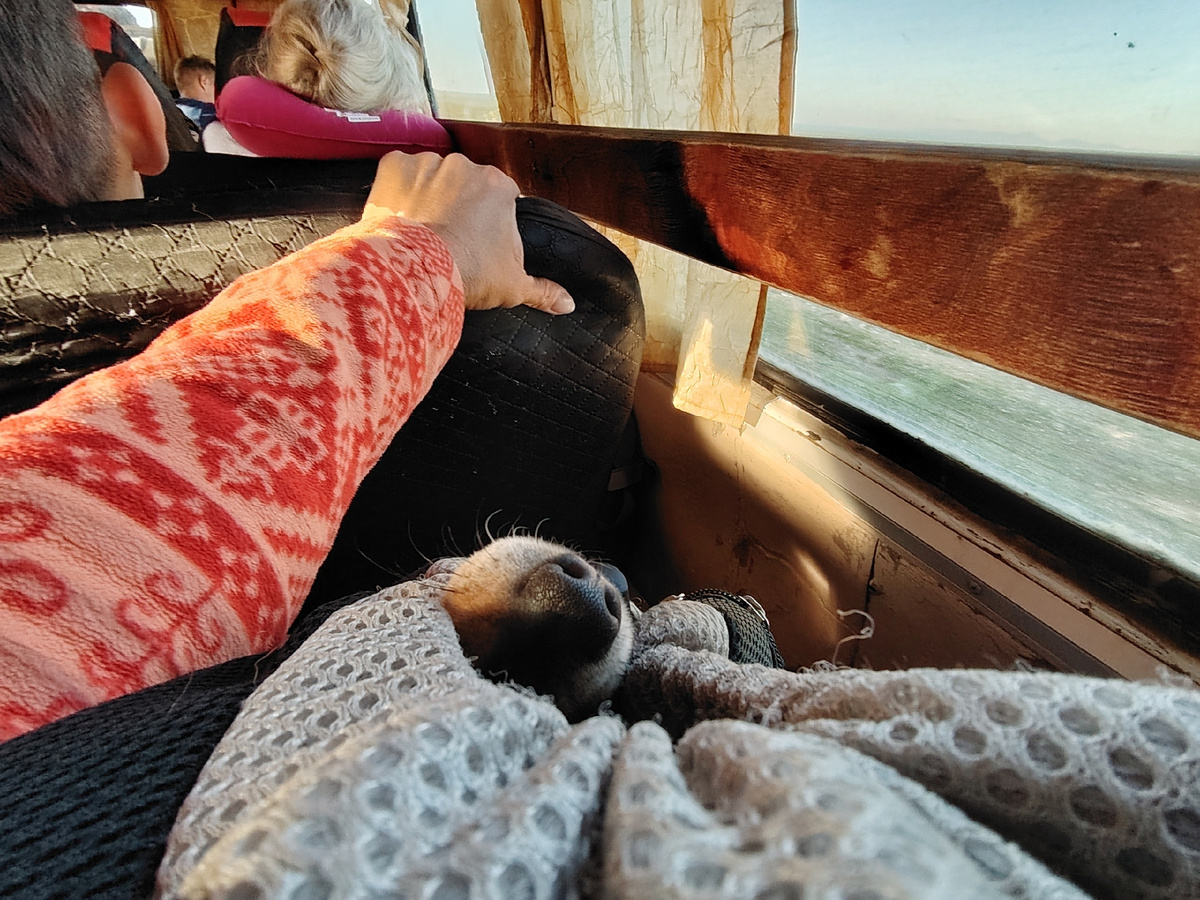 В салоне "Урала" по тундре Приполярного Урала в Коми