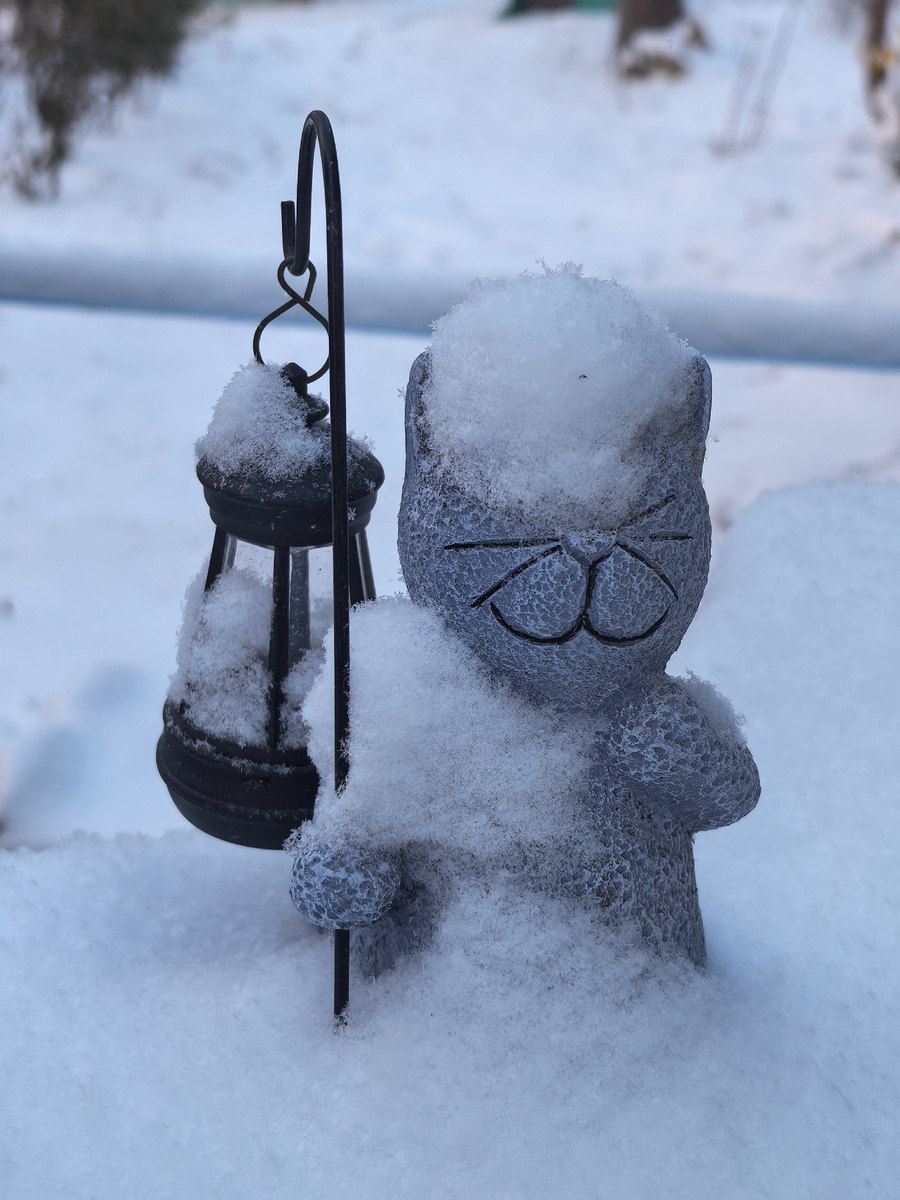 Котик доволен