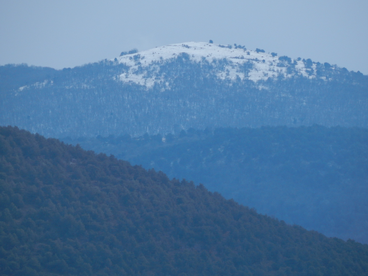 Тоже фото с приближением.