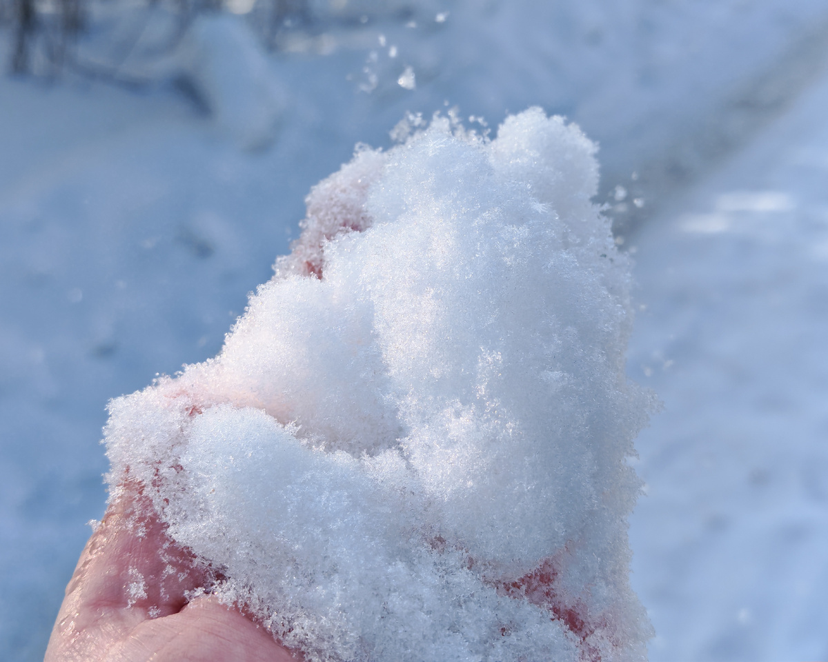 Фото автора канала. 
