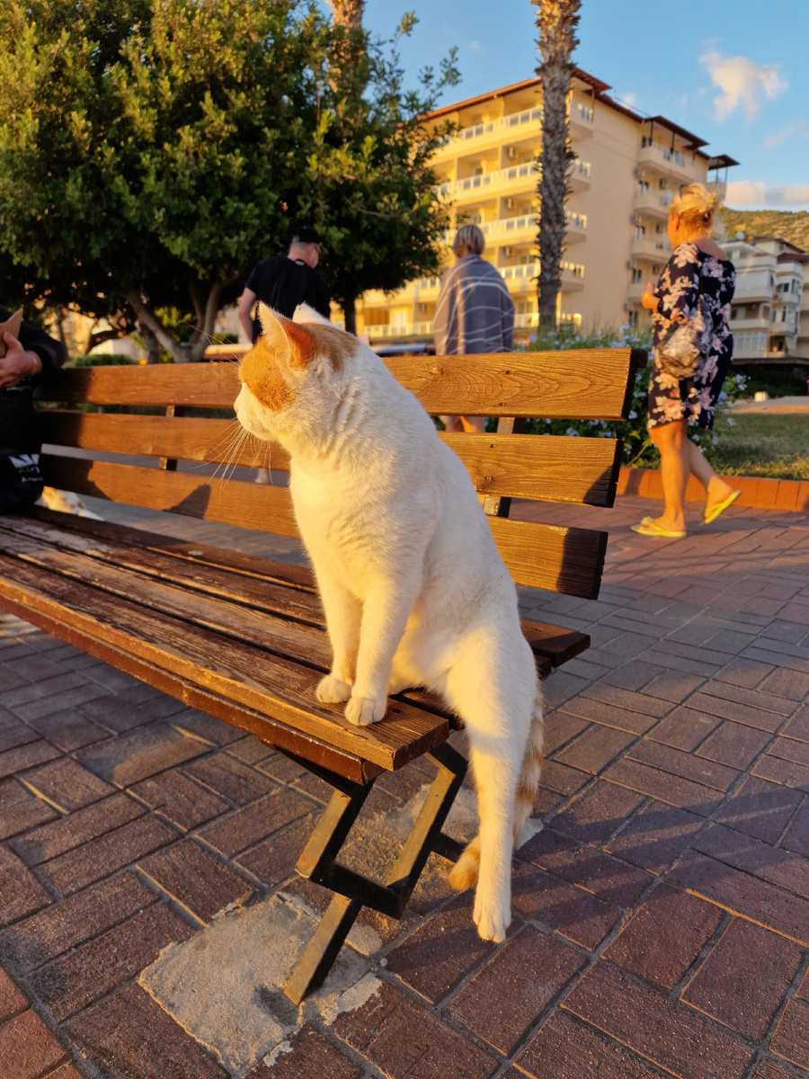 Уставший путник 😁