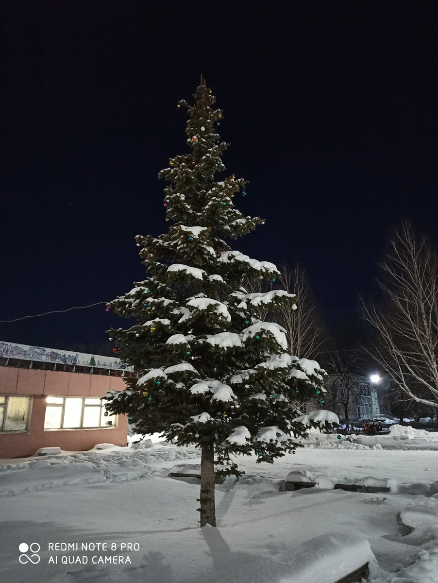 Центральная ёлка нашего села. У меня много рассказов на новогоднюю тематику.