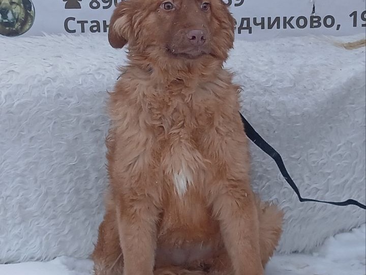 Люди с добрыми сердцами, верим, что вы есть и вас не мало