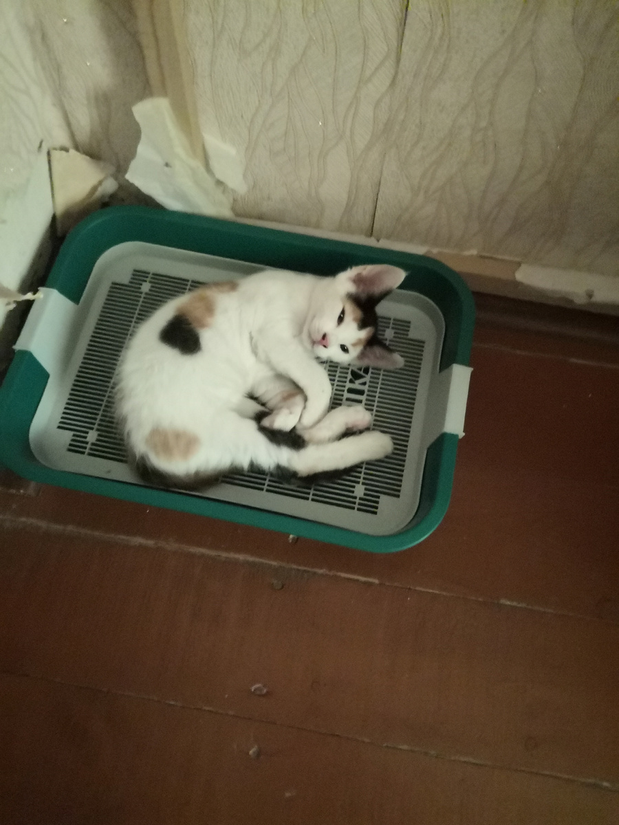 Тут нам уже 2 месяца 