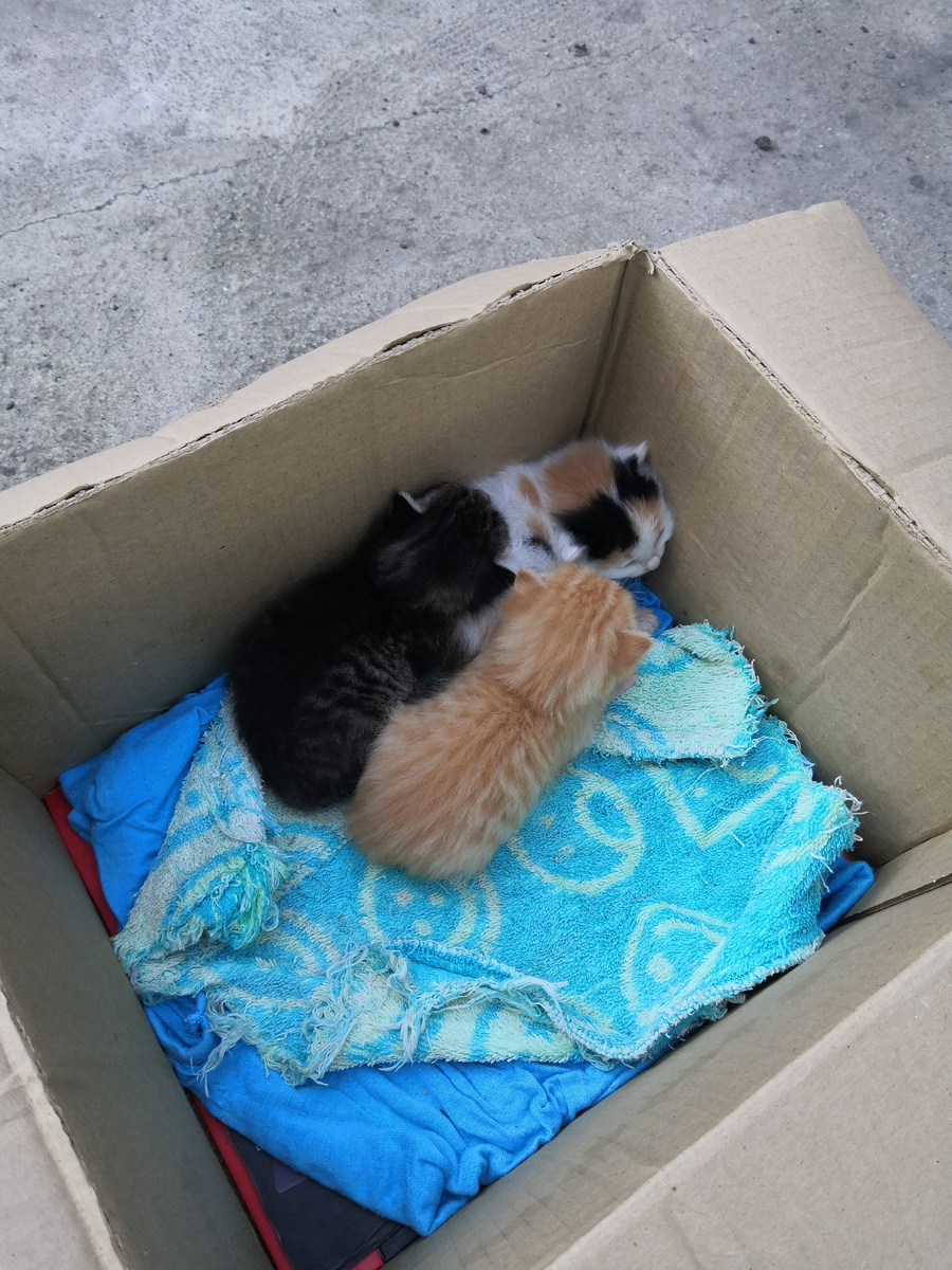 Здесь нам 10 дней