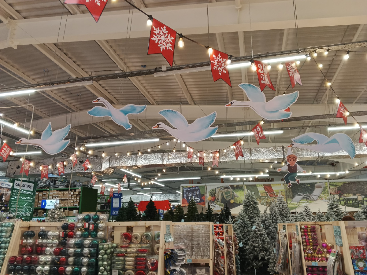 Путешествие Нильса. Фото Галины Малышевой.