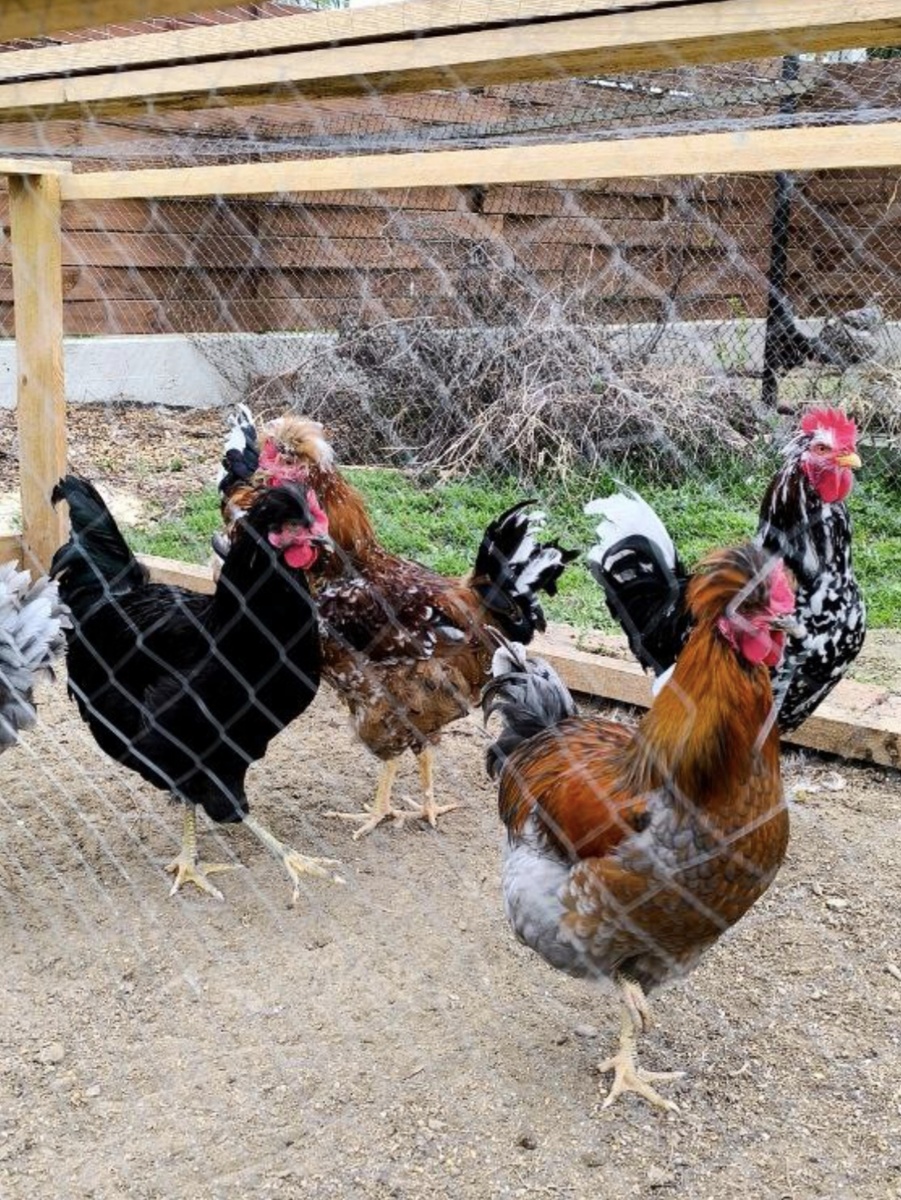 Лето 2025 года.