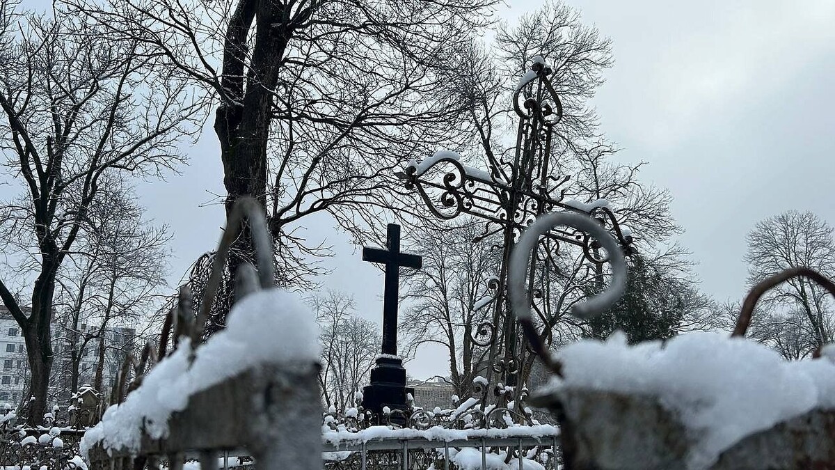    Фото: телеканал «Краснодар»