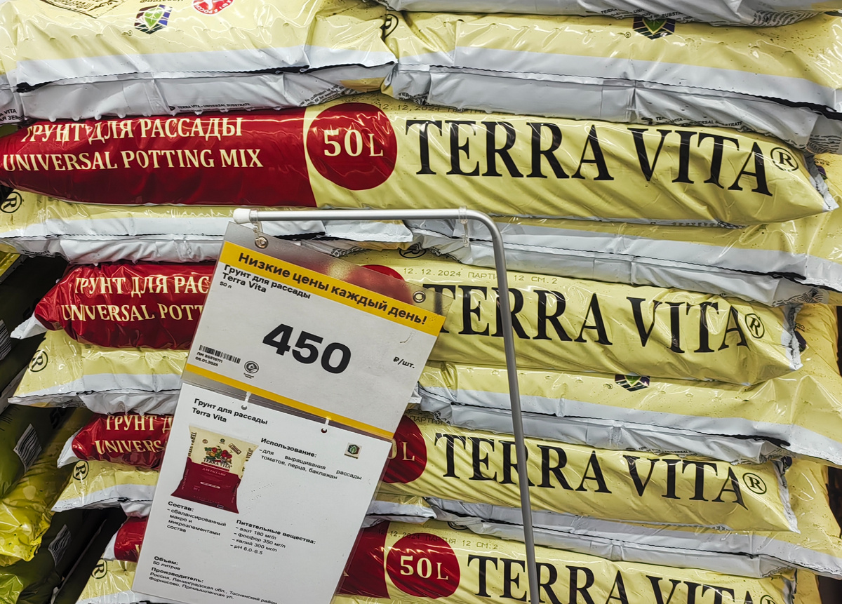 Прошлая весна. 