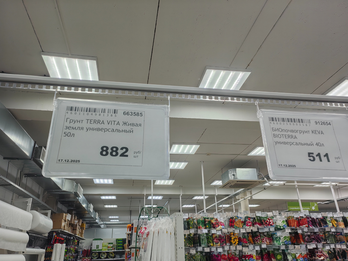 Нынешнее 🫣