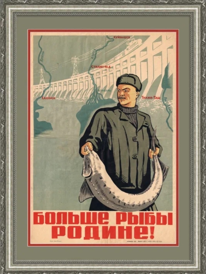 изображение взято из открытых иточников