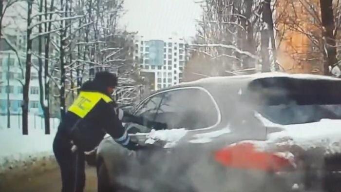 Обложка © Telegram / Ирина Волк