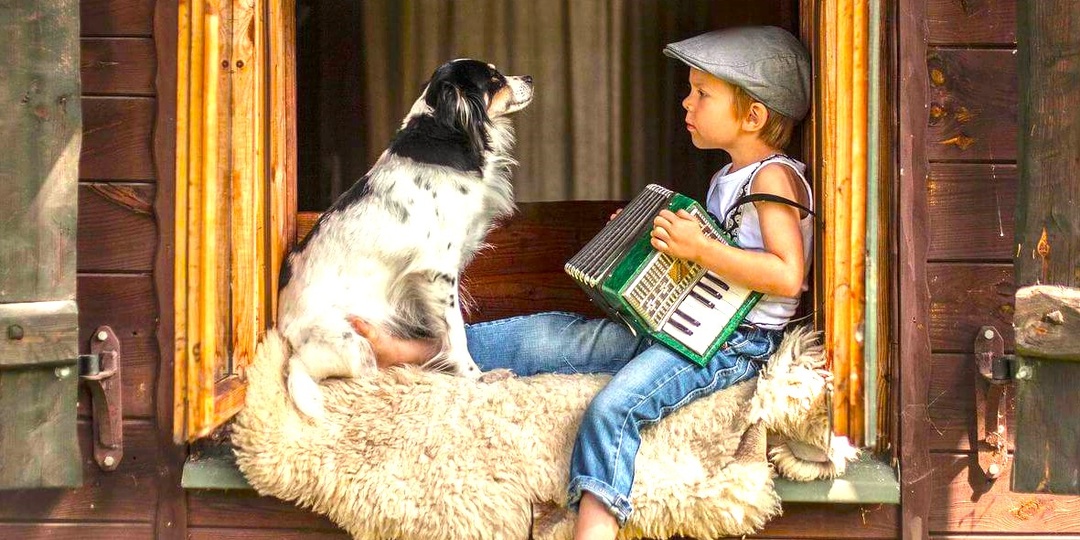 Настоящий ёжик