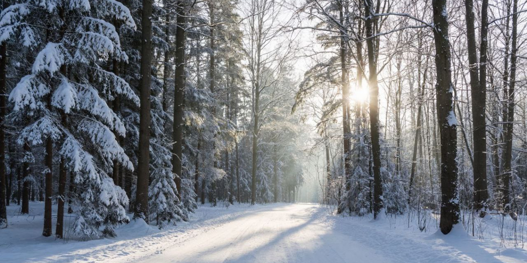Новые дивиденды 2026, рост индекса Мосбиржи, размещения облигаций и данные по инфляции: обзор главных событий недели