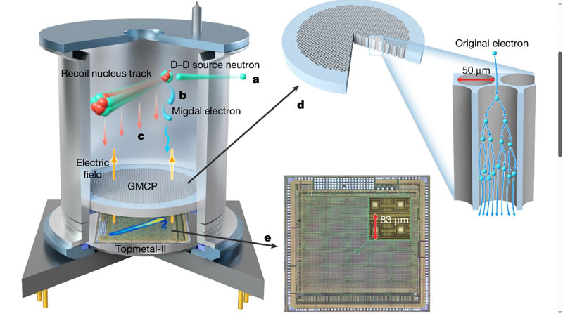    Источник изображения: Nature 2026