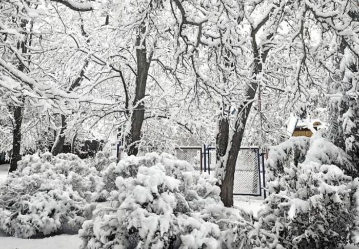 Иллюстрация: © «Панорама»