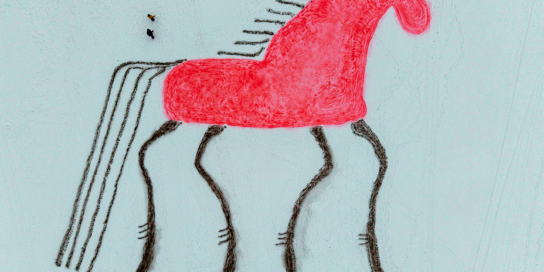 На озере близ Архангельска появился огромный «мезенский» конь