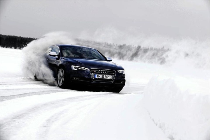 Яндекс Картинки