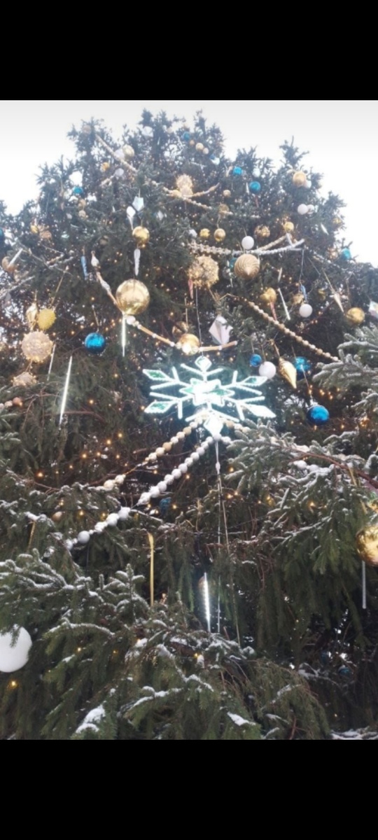 То же место  2026 г