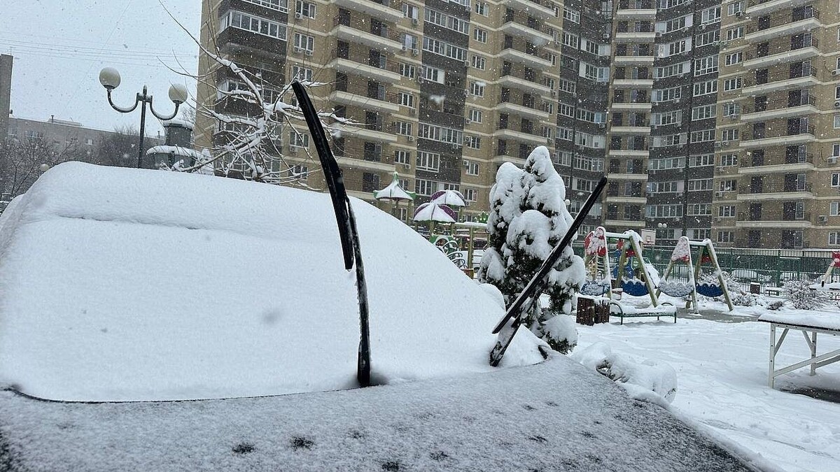    Фото: телеканал «Краснодар»