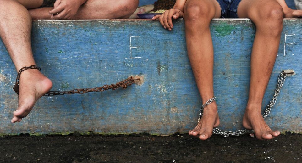    Veri Sanovri/ZUMAPRESS.com / www.globallookpress.com