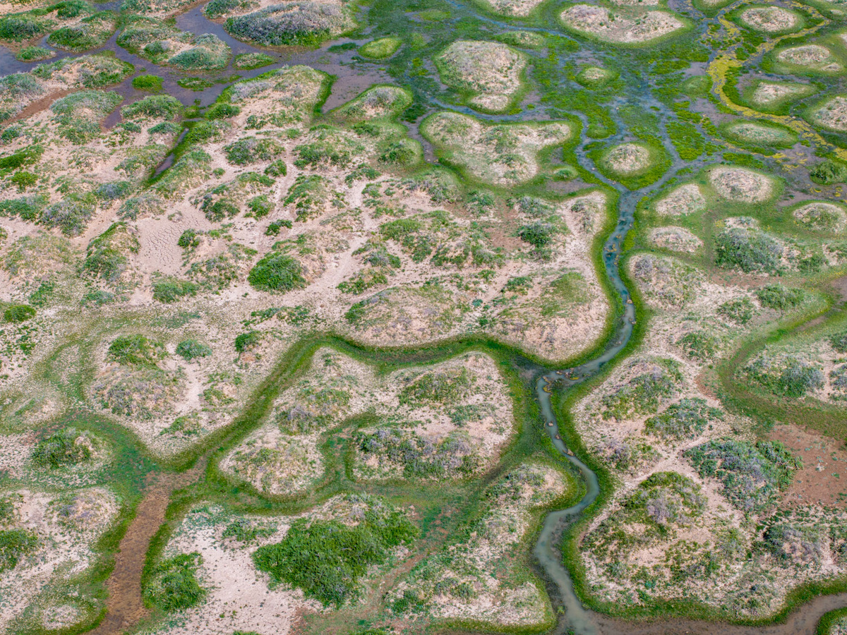 Разглядываю текстуры речки.