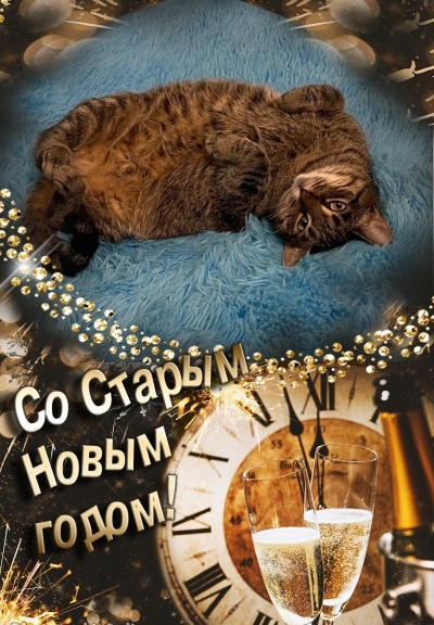 Милая Зоенька поздравляет всех со Старым Новым годом🎄✨