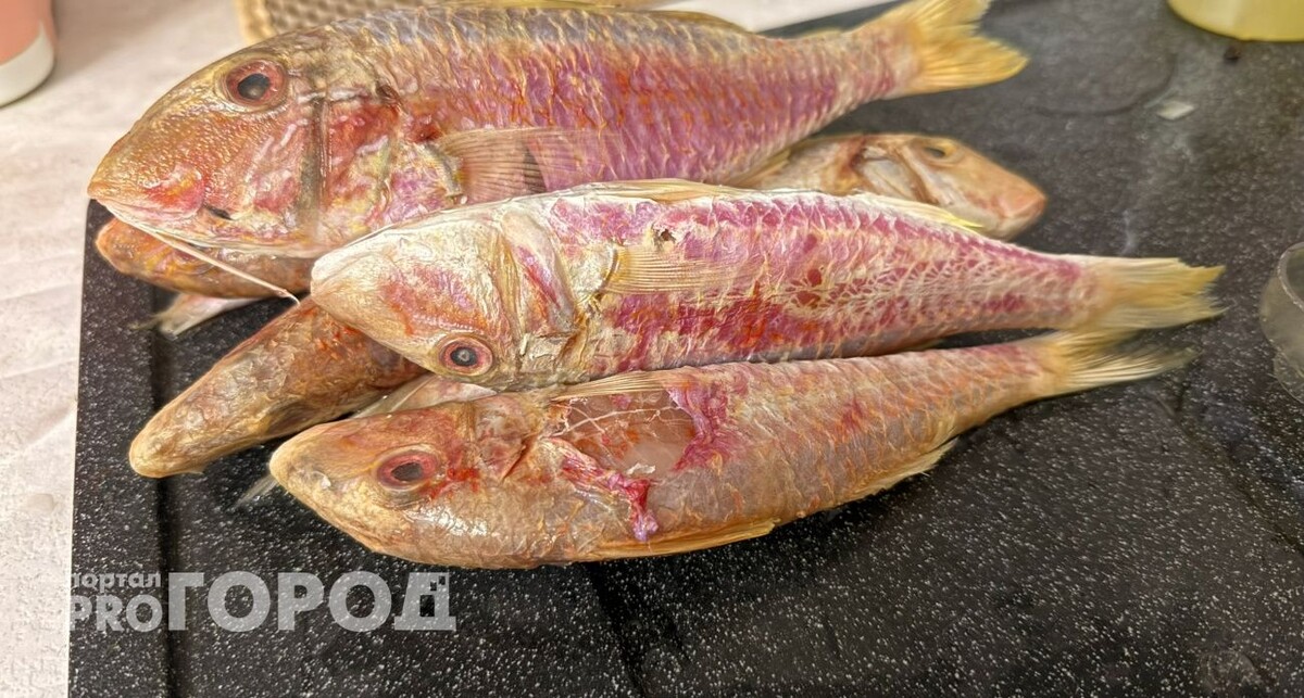    Из архива "Про Город"