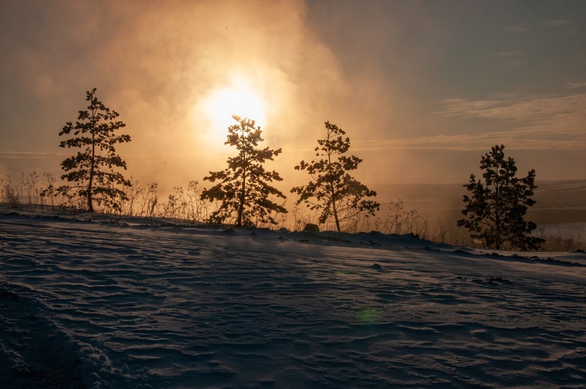     / Источник: © Global Look Press