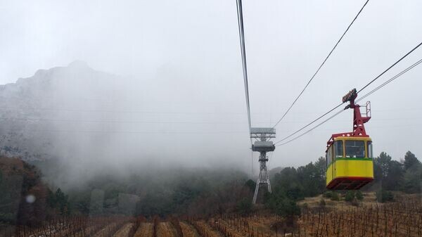    © РИА Новости . Сергей Мальгавко