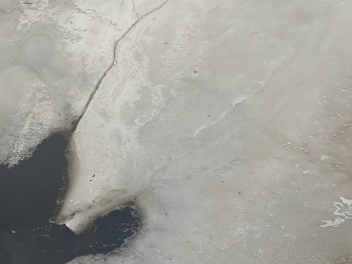    фото: © Столица на Онего