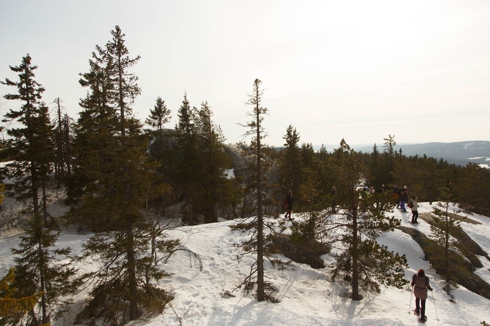    Трое туристов из Германии на снегоступах прошли из Финляндии в Россию и обратно Александр ГЛУЗ