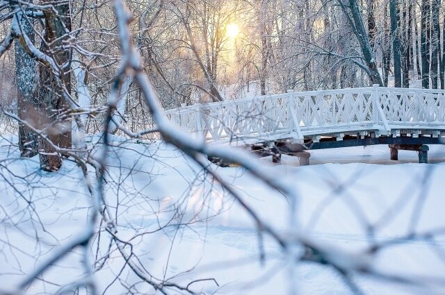    «Горбатый» мостик в усадьбе. Фото: Государственный Лермонтовский музей-заповедник «Тарханы»/ Алексей Семенов