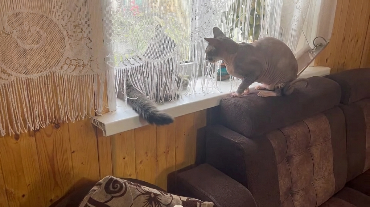 Сцена вторая - битва за "ресурс"