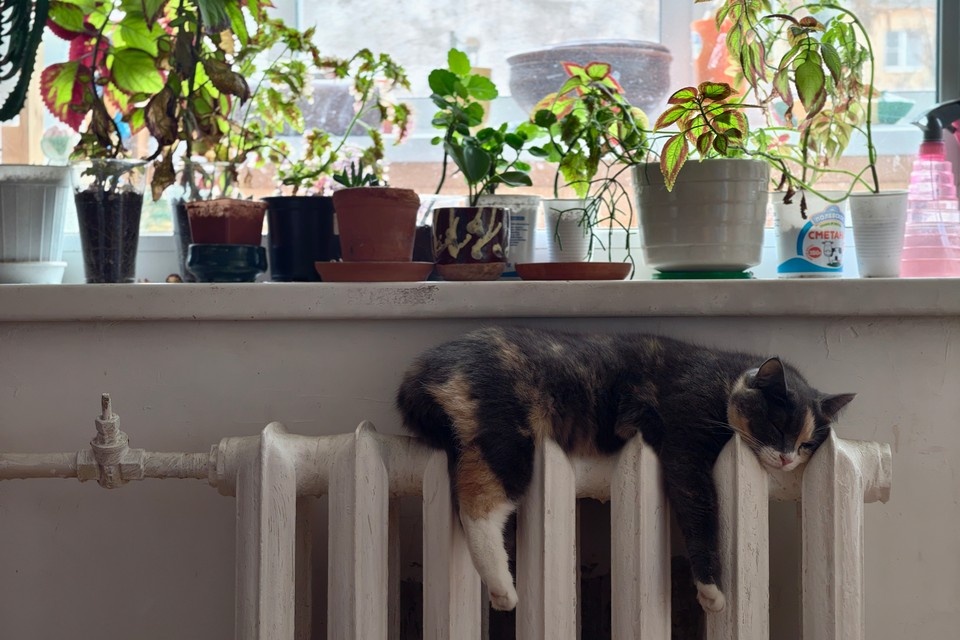    В Петербурге авария лишила местных жителей тепла. Алексей БУЛАТОВ