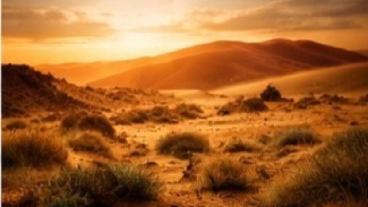 Оранжево-розовый марев пустыни