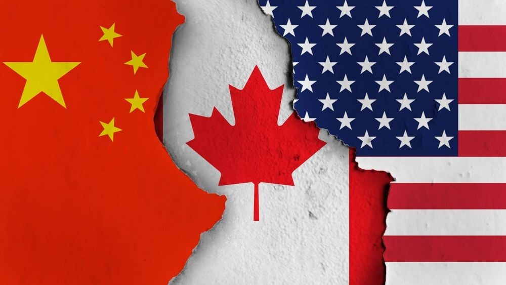    Фото: hapelinium/Shutterstock/Fotodom