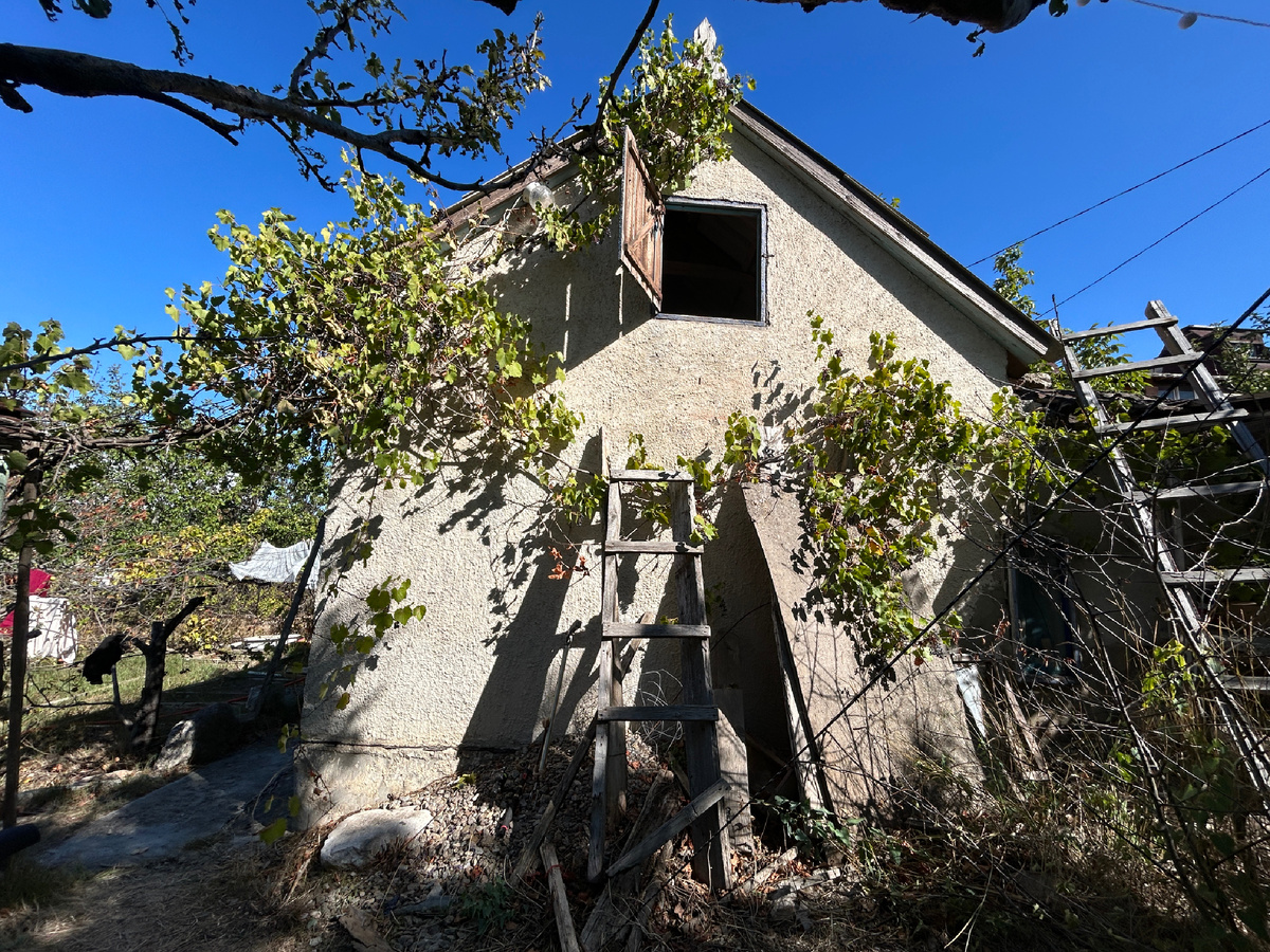 Фото летнее