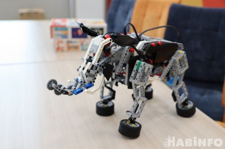    Фото:Марина Прокопьева