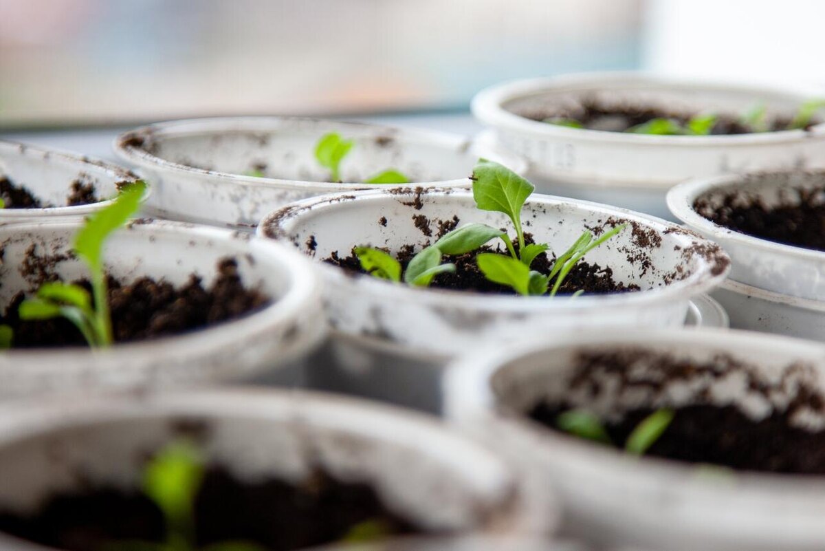     123RF/legion-media.ru