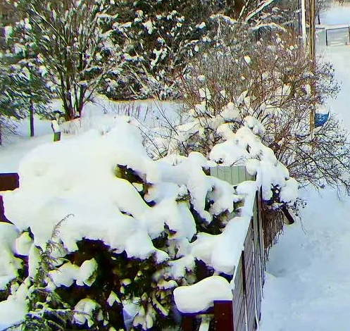 с веб камеры вчера