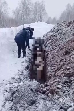    Кадр из видео